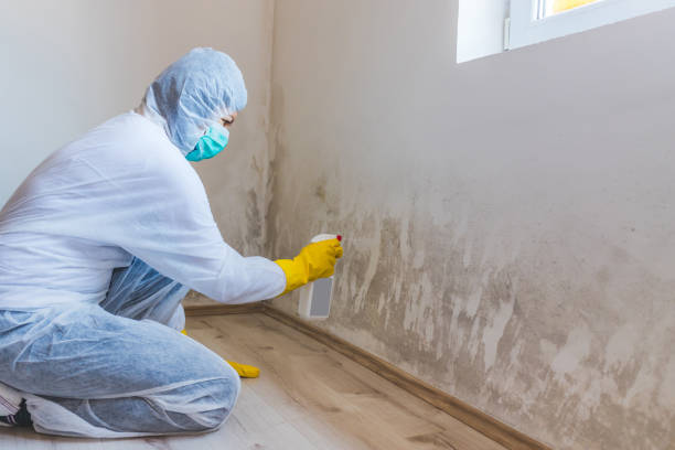 Hvac And Air Duct Mold Remediation inspection of HVAC system in Cochranville