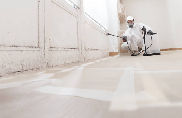 Black mold remediation team in Cochranville